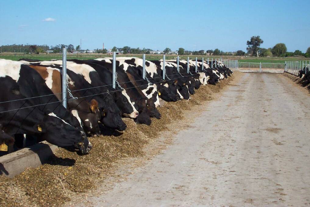 Planning is needed to address the impacts of a concrete feedpad on the dairy effluent system.