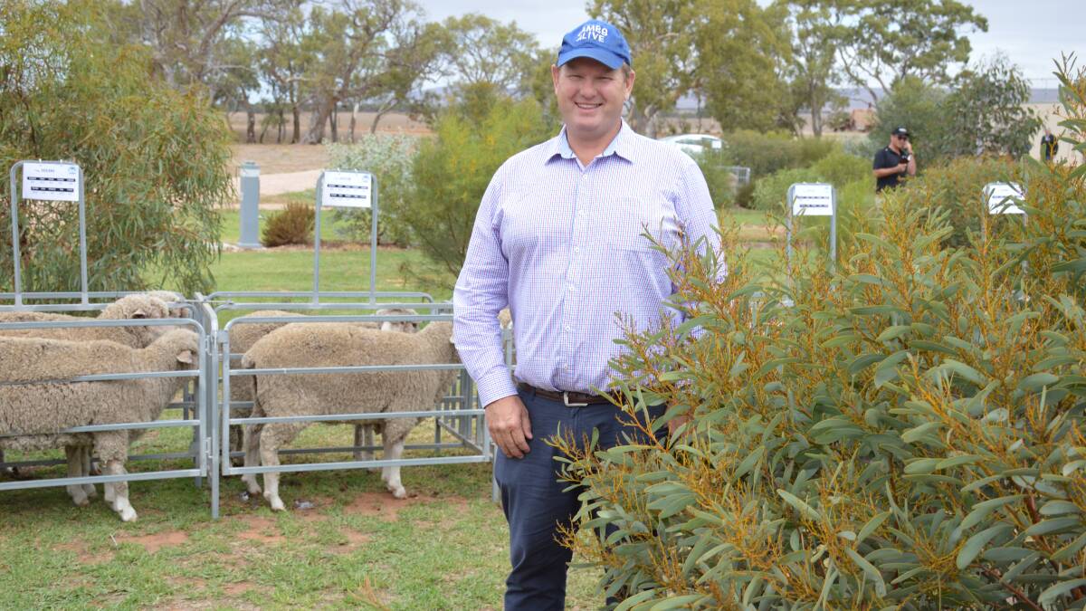 Respected sheep consultant Jason Trompf says more stud and commercial breeders needed to use Sheep Genetics and have a greater focus on what is making money on commercial farms.
