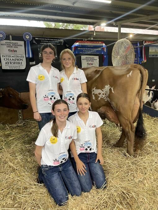 Kayla Grist, Harmony Reed, Layla Clarke and Paige Pinchbeck after their win at IDW with the intermediate champion Ayrshire female exhibited by Jalks Farming, Naracoorte. Picture supplied.