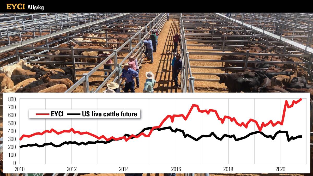 GAP WIDENS: Australian cattle prices are at a big premium to the US, and increasingly detached from global cattle market fundamentals. Source: NAB.