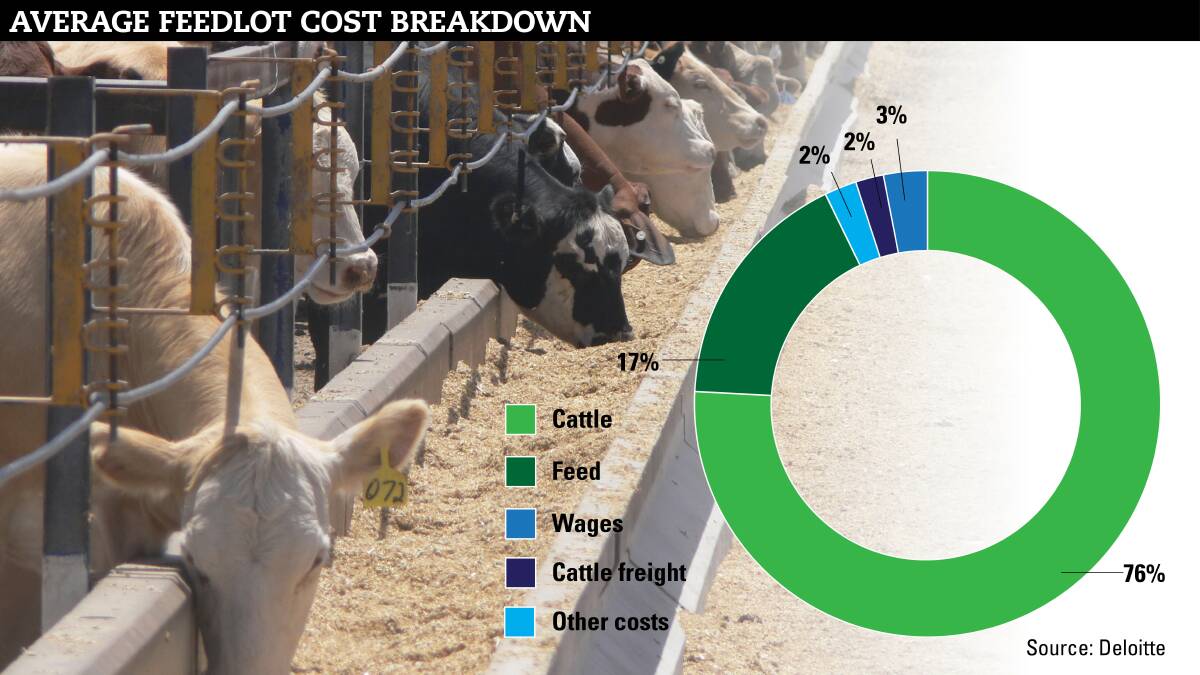 A peek at life without feedlots – it’s scary