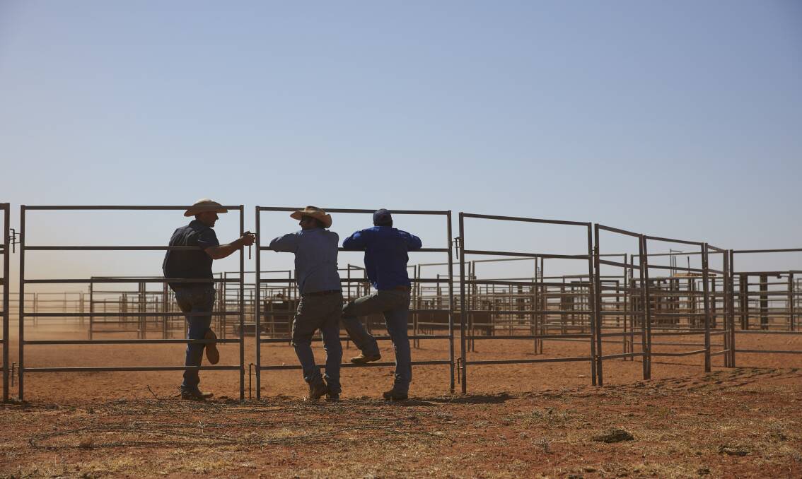 COMPANY MEETING: Making decisions at the Speed family's Tobermorey Station in the Northern Territory.
