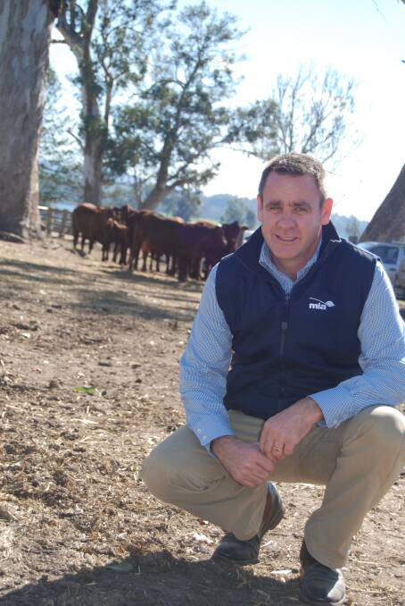 MLA managing director Richard Norton has expressed frustration at attacks on the beef industry from within.