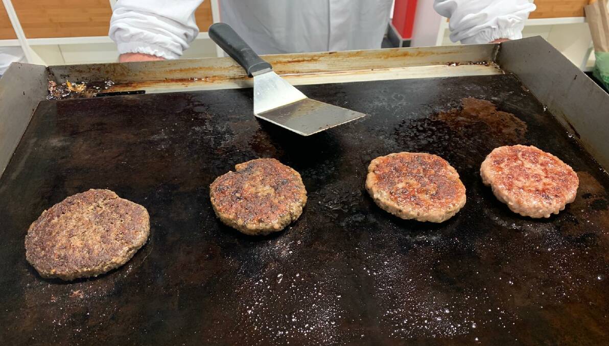 SERVE IT UP: Burger patties made from black soldier fly larvae.