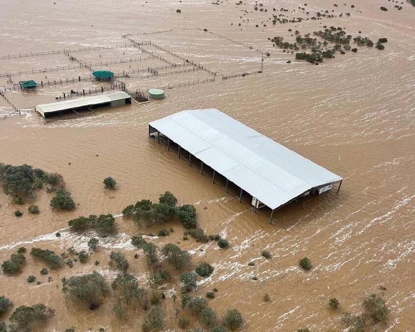 Flooded cattle country in Western Australia. Photo supplied by Camille Camp, Kalyeeda Station.