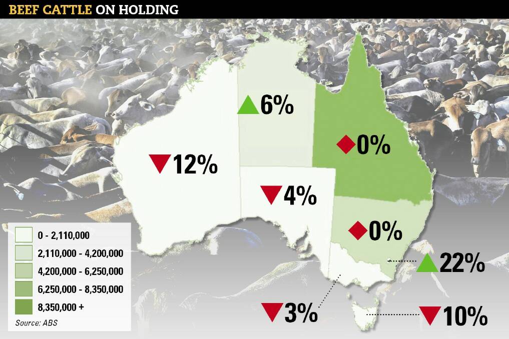 Cattle herd still hasn’t dropped below 1980s bottom