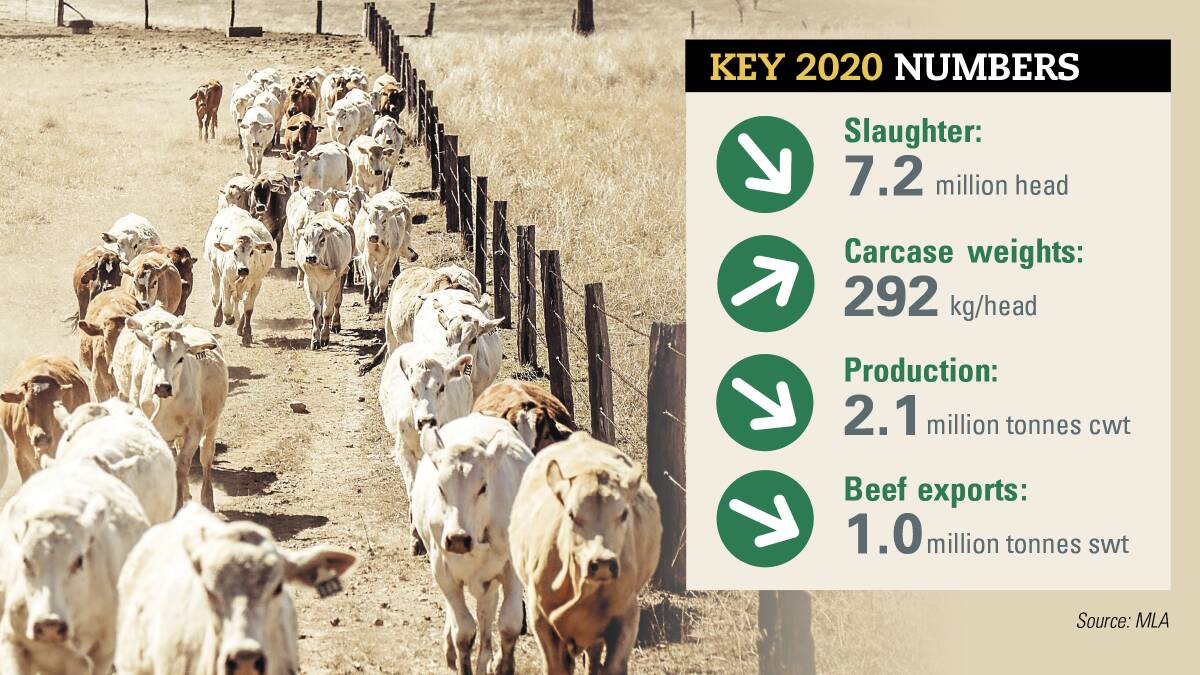 Rain to drive cattle market story in 2020