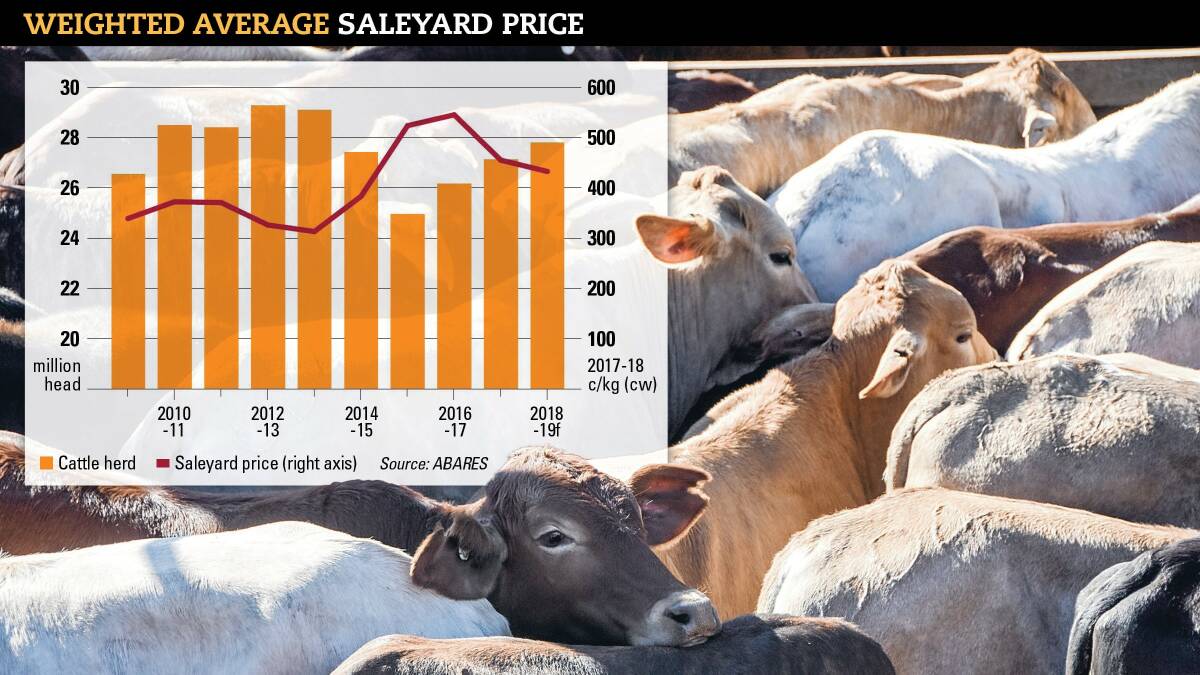 Rising cattle supplies see beef export forecasts lifted