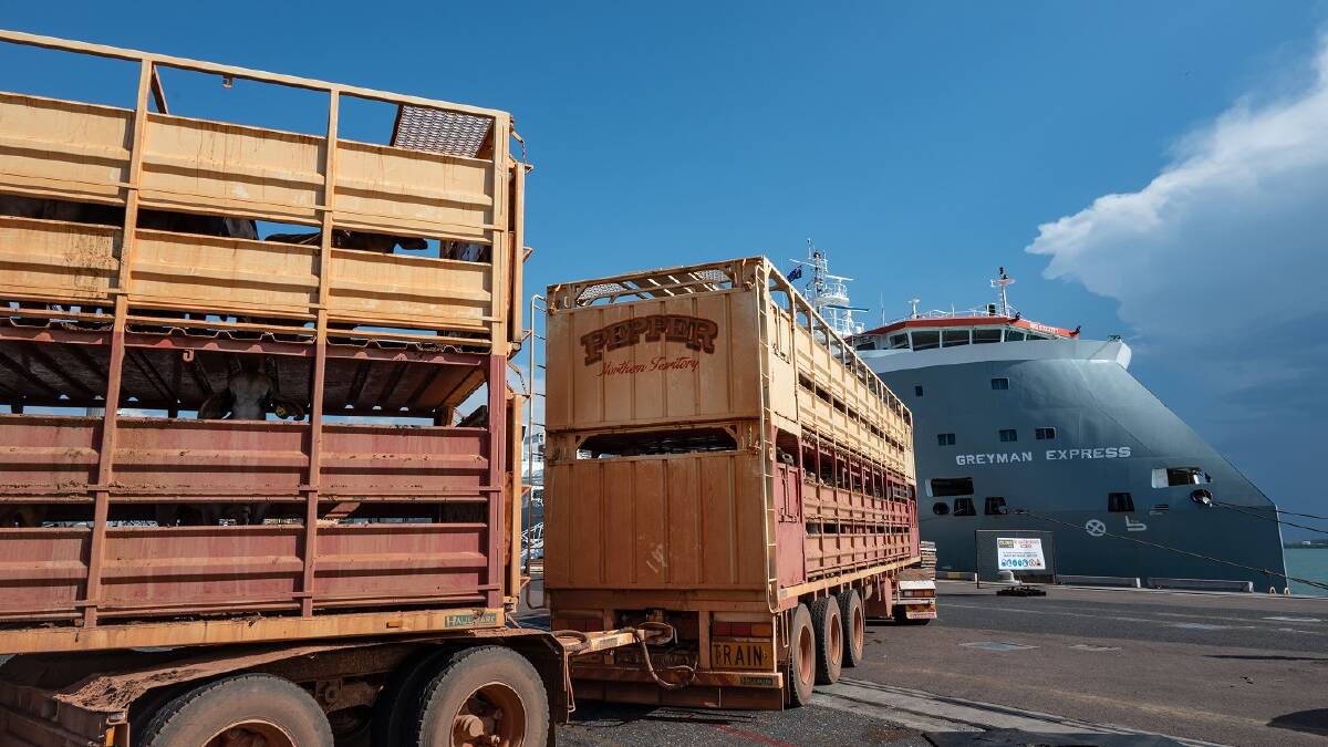 More cattle boats to Indonesia are being loaded following the reopening of northern live-ex depots that Indonesia had slapped suspensions on, but new issues are arising. Picture Jess Wright. 