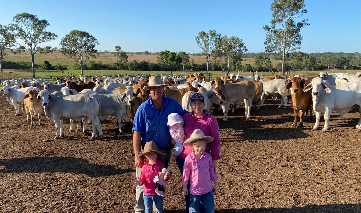 Queensland Brahman breeders Sandy and Jamie McCartney, Bucca Partnership, and children Elizabeth, Victoria and Georgia, with two-year-old steers. 