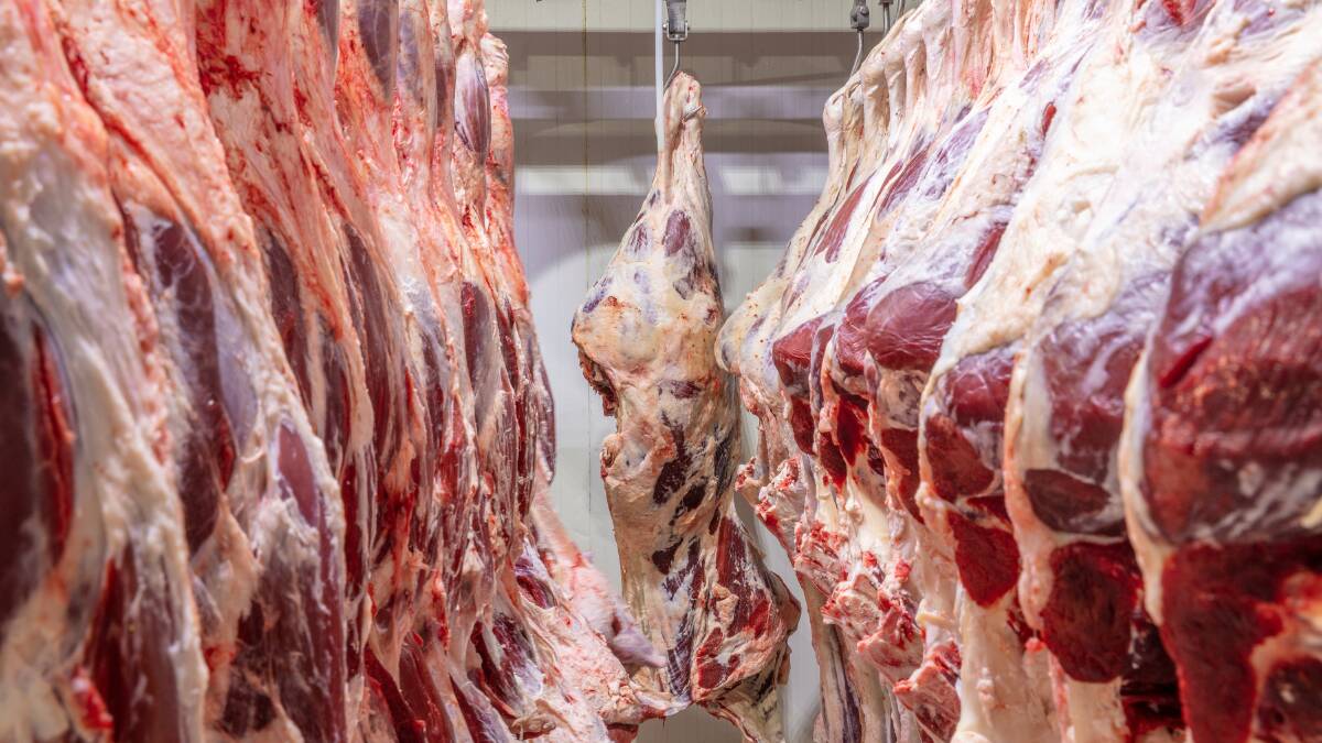 Doors open for halal beef exporters