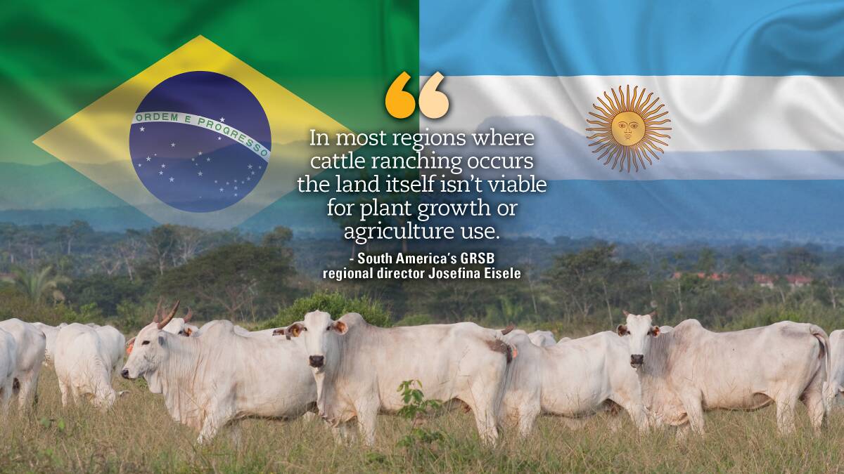Brazil, Argentina beef's take on methane pledge, tax