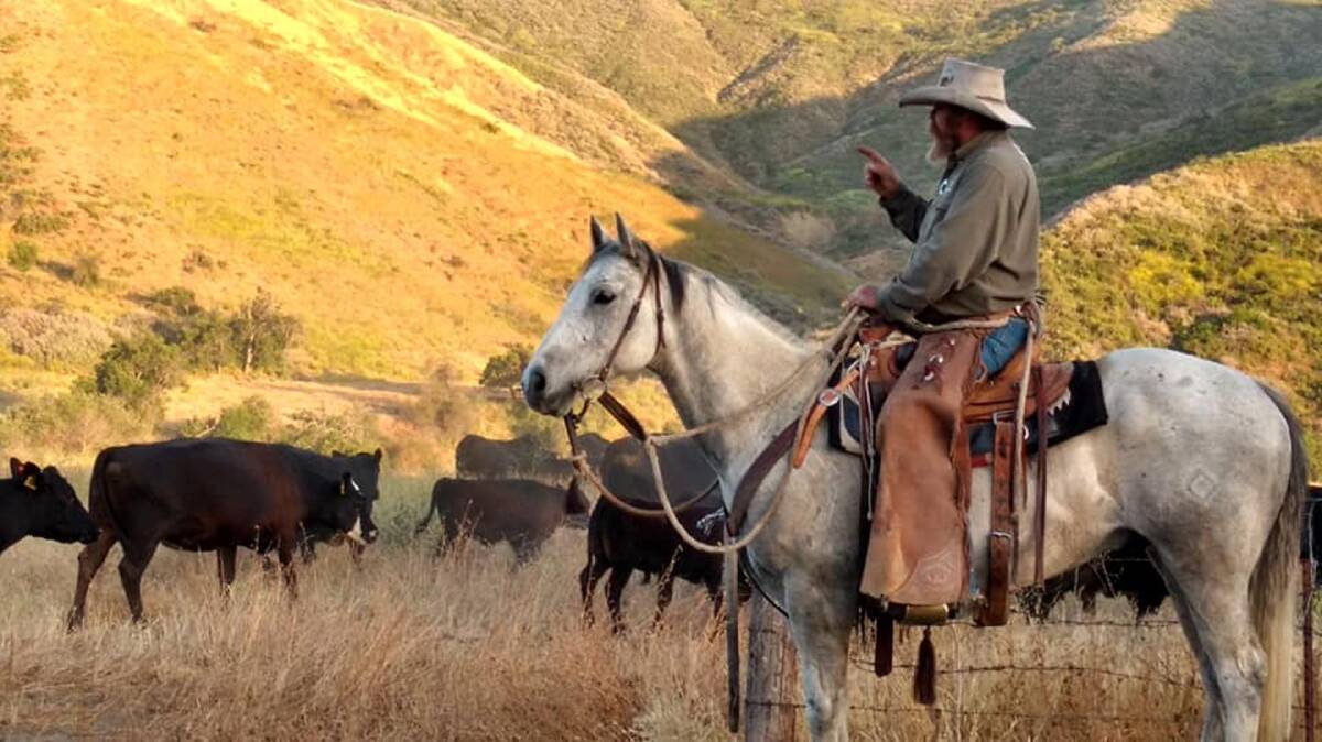 Californian beef producer Mike Williams on his property, Ritter Ranch.