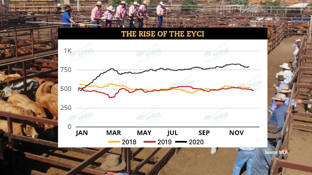 The rise and rise of the EYCI