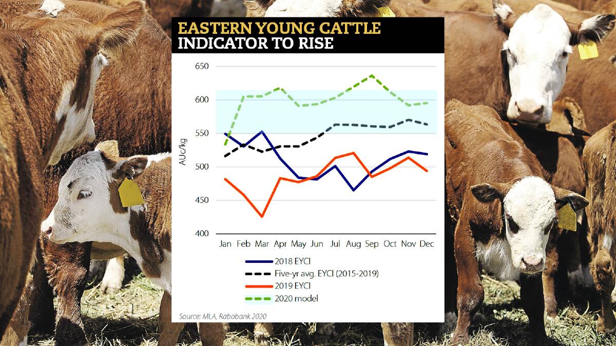 Sharp rain-induced spikes the cattle market story for 2020