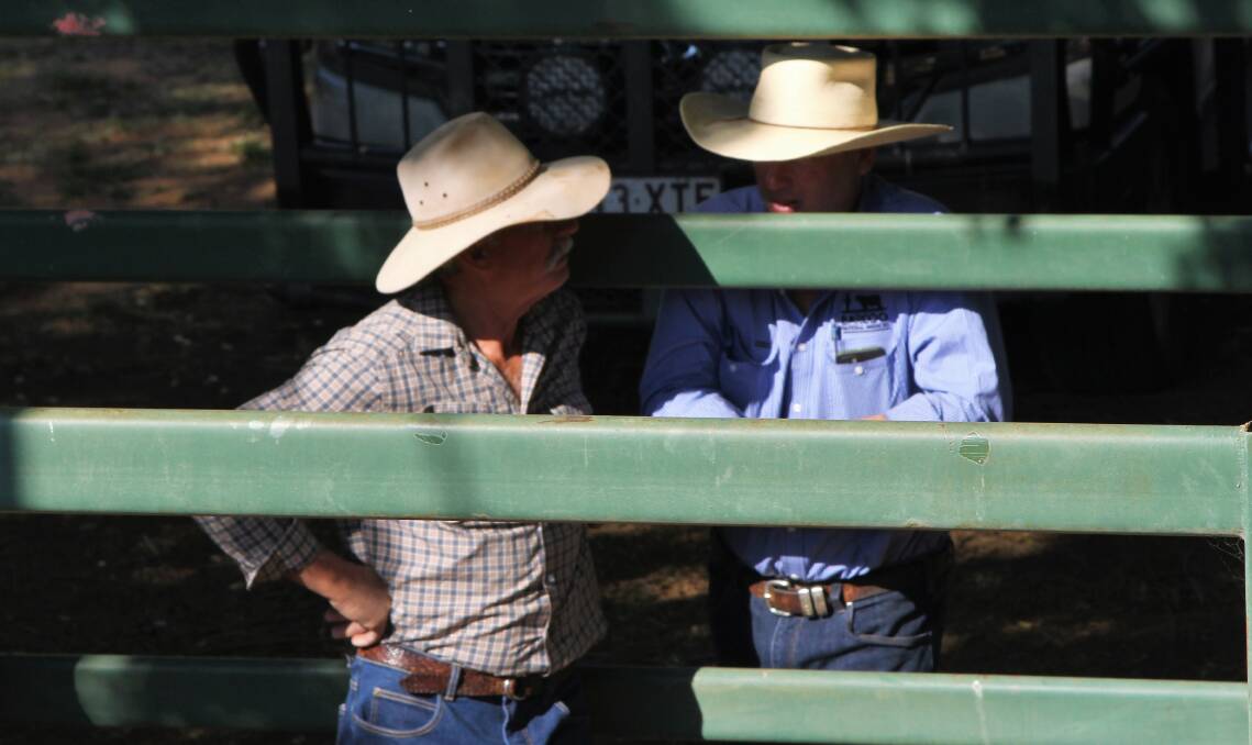 WHAT TO DO: The strength in the young cattle market is leaving everyone astounded and with very hard decisions about whether to cash in or keep rebuilding.