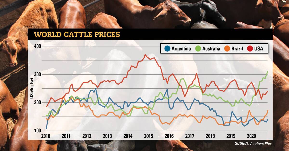 Cattle prices tumble as volumes ramp up