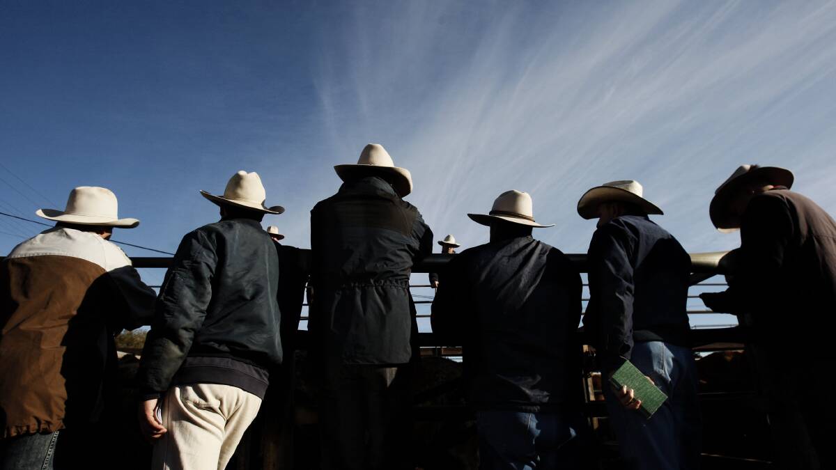 ACCC pushes for mandatory buyers register at saleyards