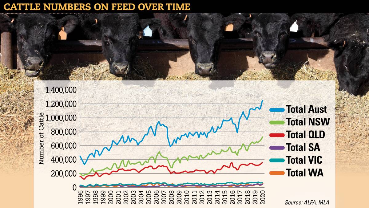All-time high for cattle on feed numbers but peak likely reached