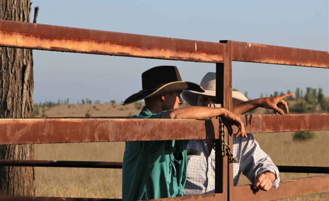 Livestock advisors, both public and private sector, are in short supply.