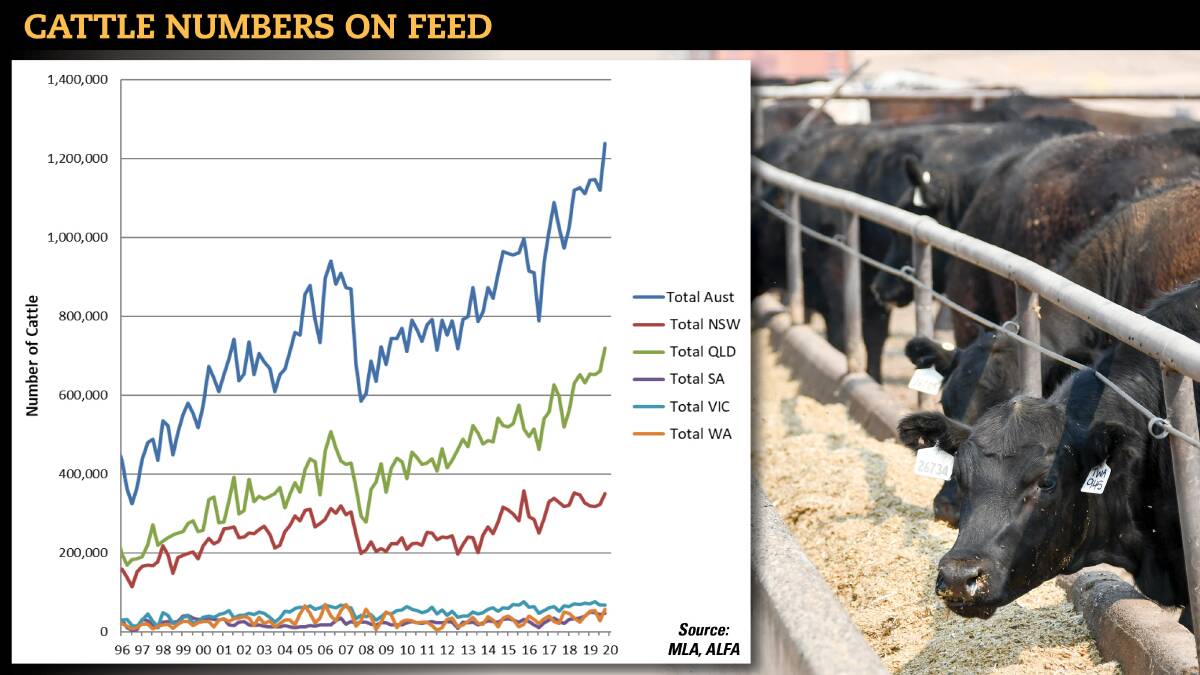 Cattle numbers on feed falling but 'new norm' to set in