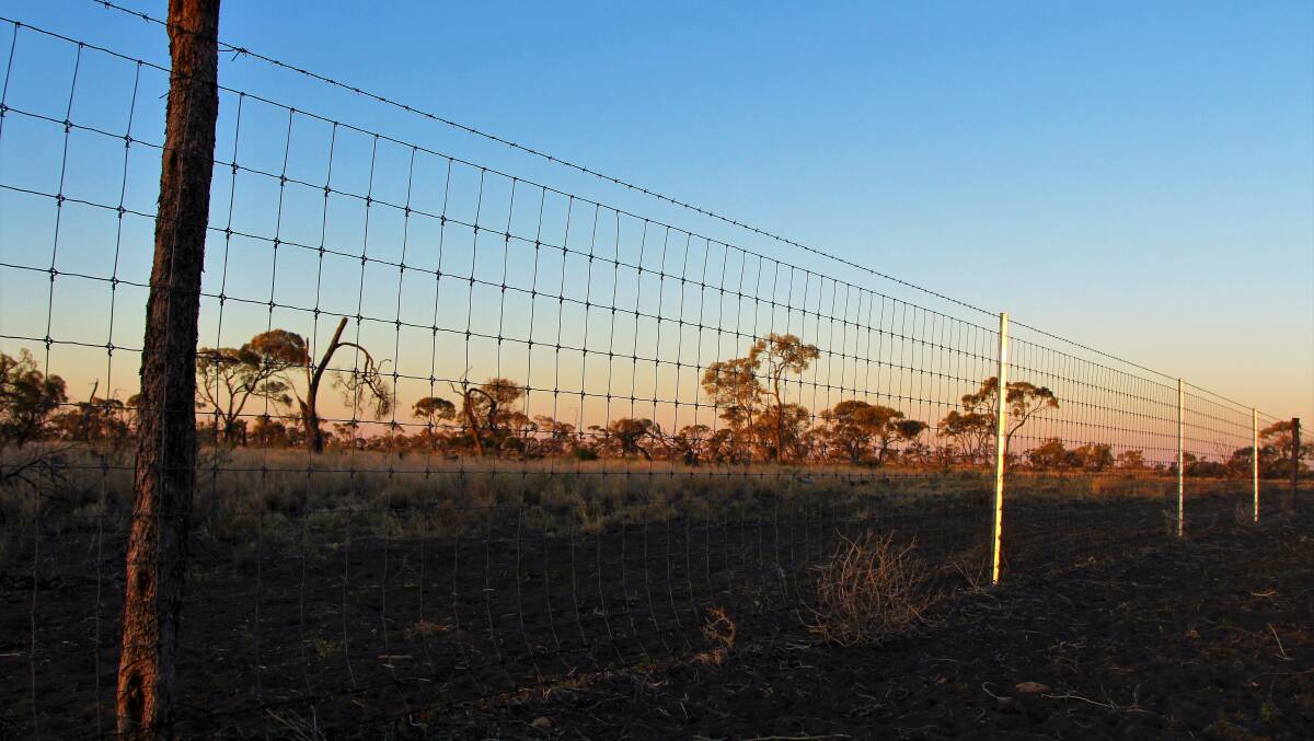 Exclusion fencing at Aramac, in central west Queensland. Picture by Sally Gall.
