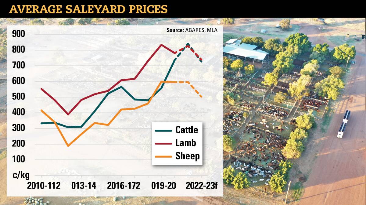 Frenetic cattle buying starting to ease