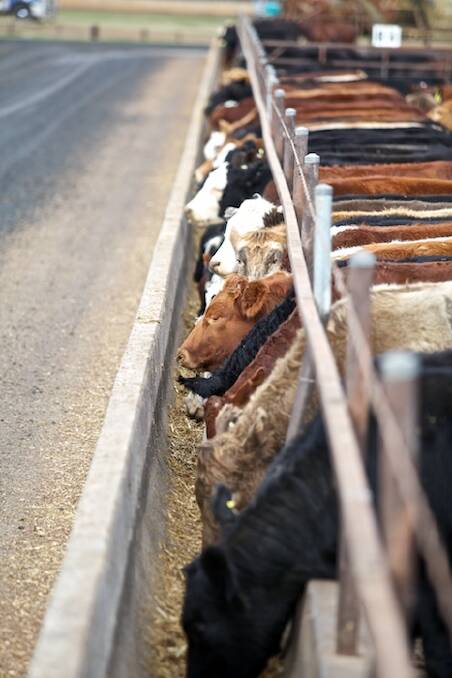 Get smarter about beef data flow