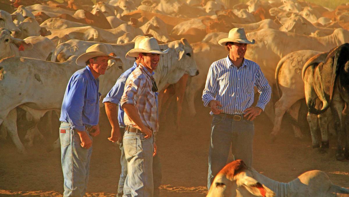 SPEAKING UP: Hewitt Cattle Company's cattlemen on the job.