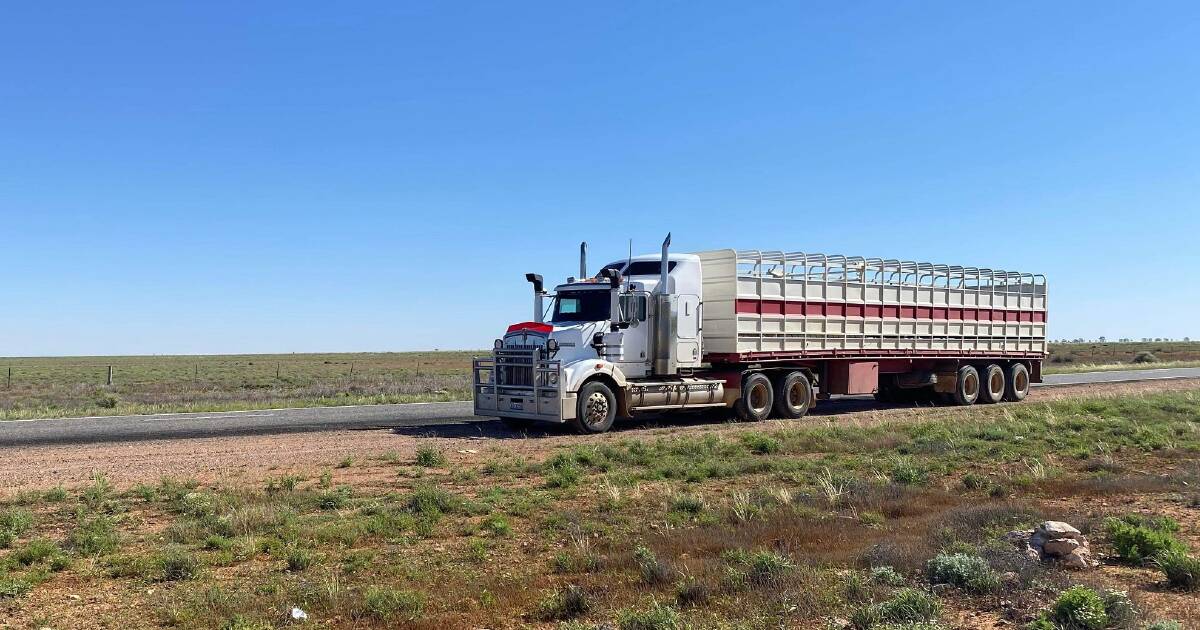 The NB Genetics' delivery headed south, outside of Broken Hill.