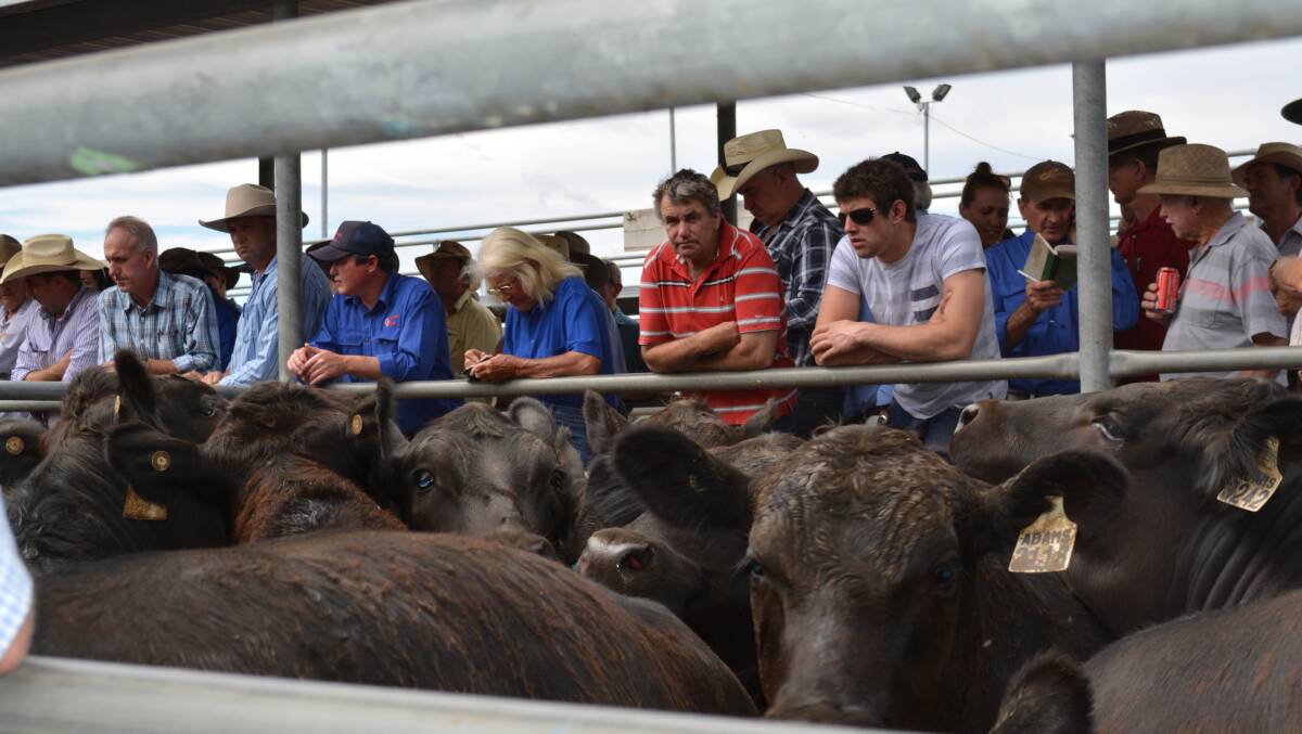 Market analysts say if you total up all the online platforms, the volumes being put through equate to the biggest saleyard in the country.