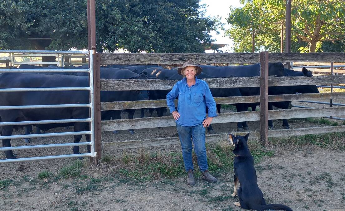 Victorian beef and lamb farmer Loretta Carroll is worried the science will be overlooked in attempts to incorporate 'sustainability' into dietary guidelines. Photo supplied.