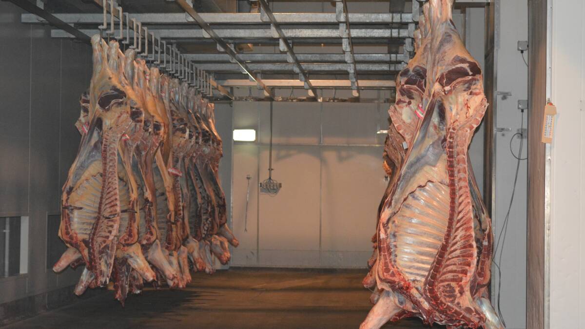 Objective carcase measuring coming to all abattoirs