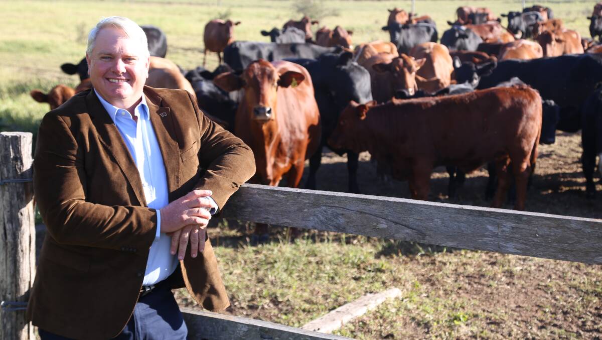 Queensland cattle producer David Hill.