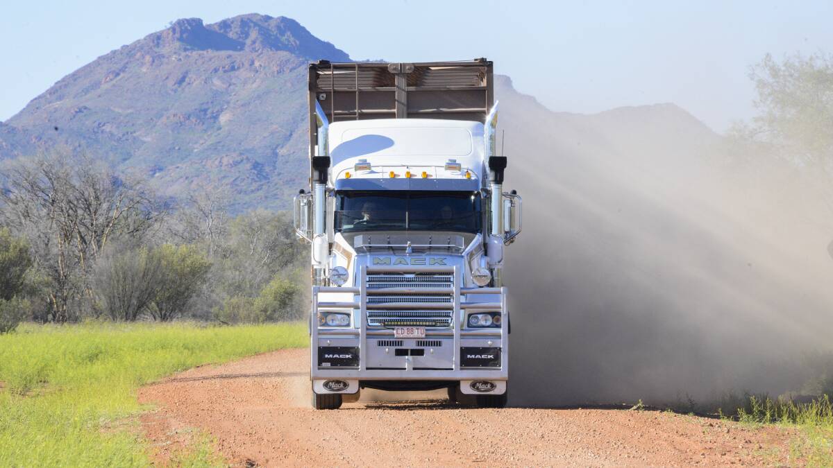 DELIVERED: There are no reports yet of cattle trucks being turned around, as processing capacity shrinks even further due to COVID cases among staff. But producers are planning for ongoing disruptions. IMAGE: NTCA 