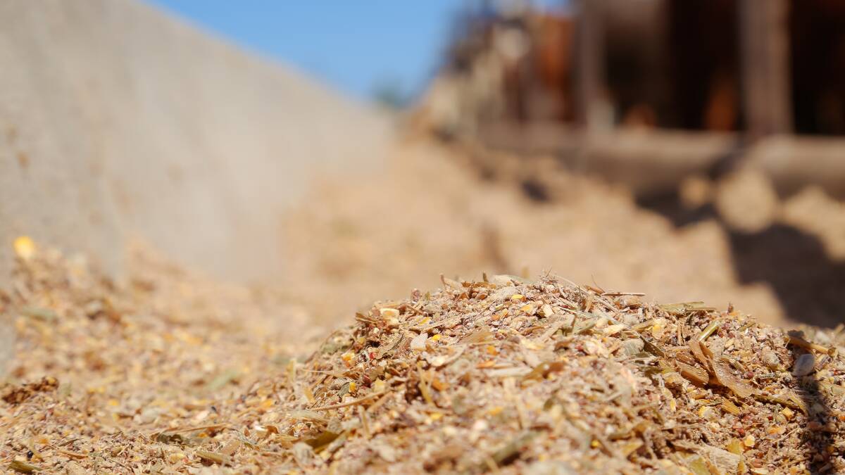 Cattle on feed numbers second highest on record