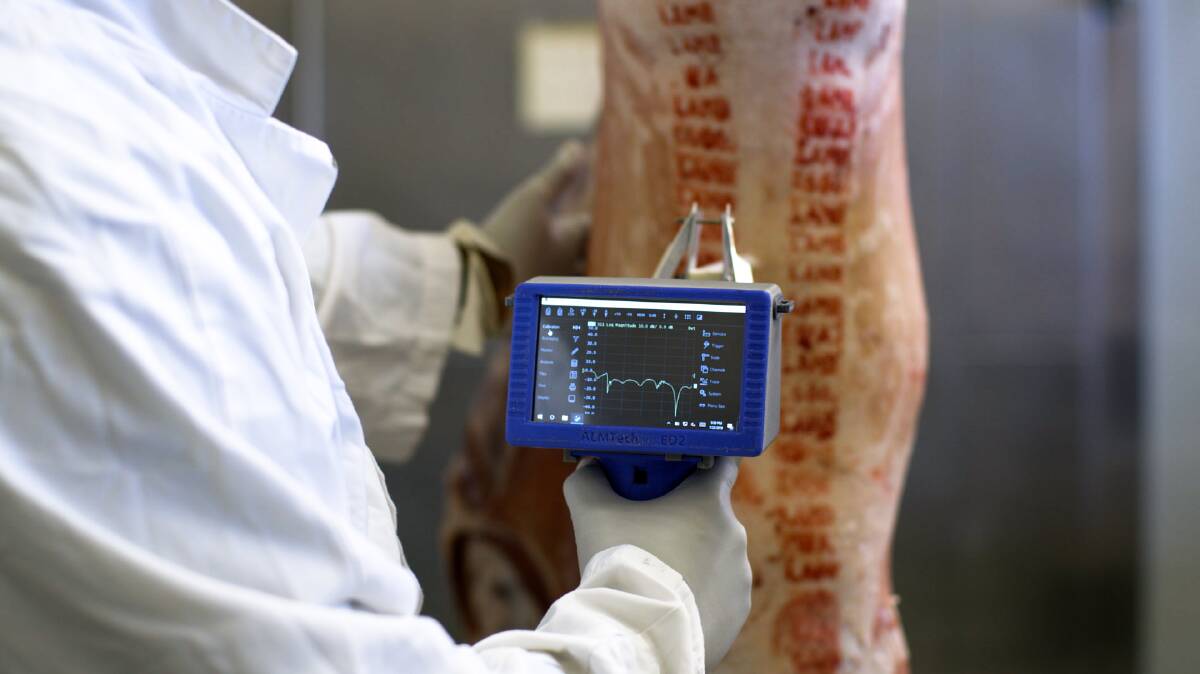 The new handheld device that draws on microwave technology to measure the fat depth of lamb. Picture ALMTech.