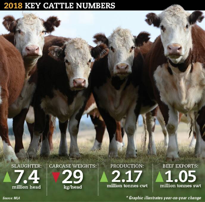 Only slight increases in the cattle slaughter, and beef production, are expected during 2018, with the herd rebuild continuing to put pressure on supply.