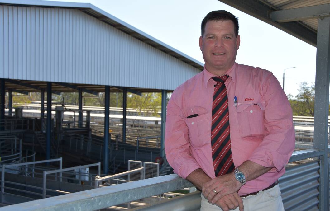 STRONG FUNDAMENTALS: Elders stud stock manager for Queensland Michael Smith at Rockhampton's Droughtmaster National this week.