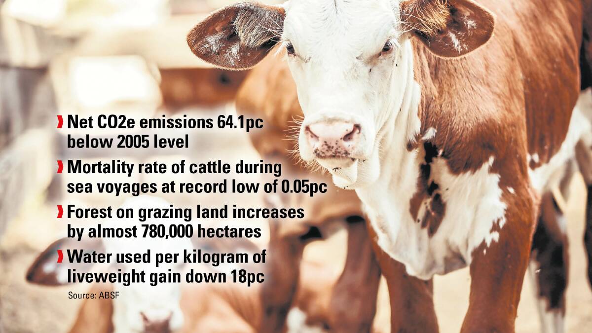 Less emissions, more trees: Beef's 2023 sustainability scorecard