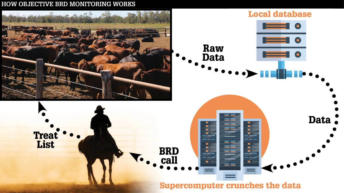 High-tech remote monitoring boosts disease battle in feedlots