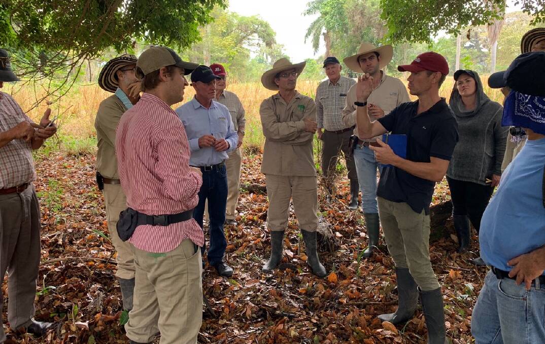 DETAILS: Frank Miller, African Mahogany Australia, provides advice on management of established Mahogany stands at El Hatico in Colombia.