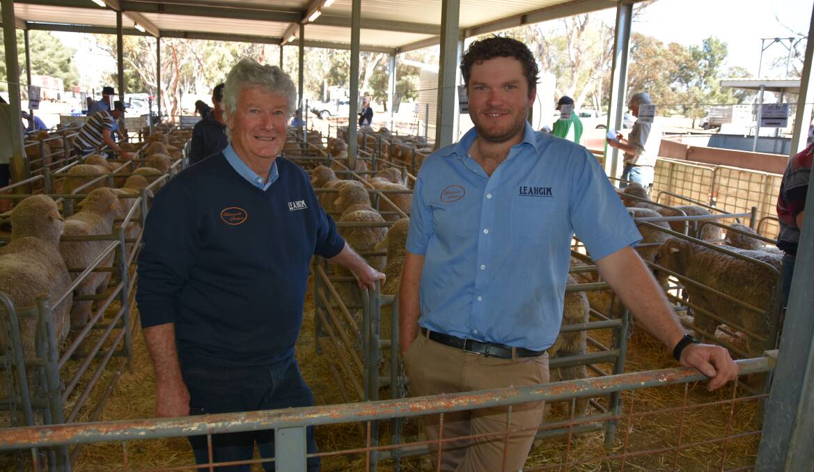 South Australian sheep breeders Andrew and Alistair Michael, Leahcim, Snowtown.