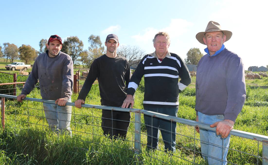 ON THE GROUND: Riverina mixed farmers Tom, Tim, Brian and Glenn Curry have pioneered the use of confinement lots and shared the lessons they've learned at a livestock forum last week. Photo: Emily Malone, Graham Centre
