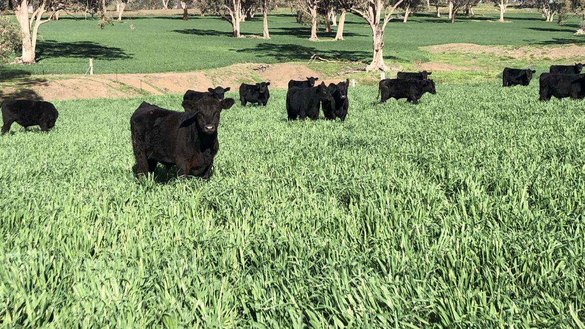 Turning point for pastures