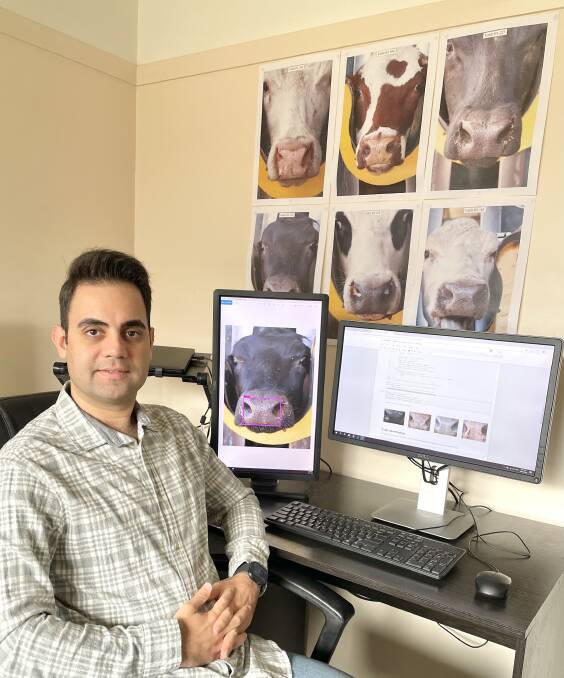 FACE UP: UNE researcher Ali Shojaeipour has created artificial intelligence that is capable of identifying individual cattle via their muzzle patterns. 