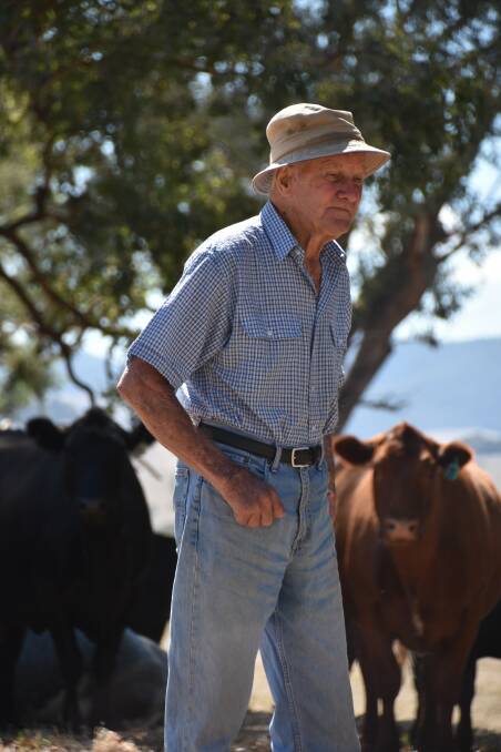 Southern NSW breeder and fattener  Oliver Killalea, an early adopter of Australia's eating quality program Meat Standards Australia. Photo: Sophie Killalea.