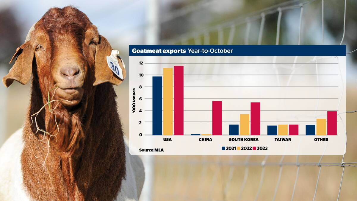 Goat exports to China have skyrocketed this year, but the US is where all eyes are focused. 