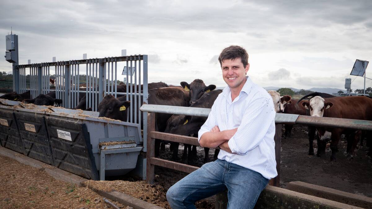 University of New England geneticist Dr Sam Clark at Tullimba Feedlot in NSW. Picture UNE. 