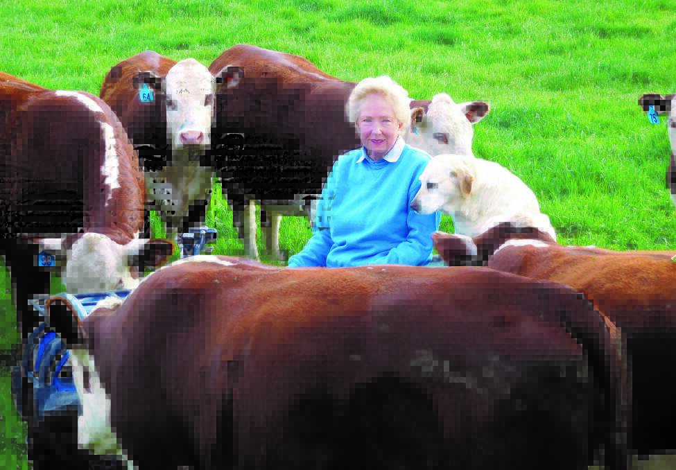 TOP JOB: South Australia's Trish Worth is the new chair of Herefords Australia.